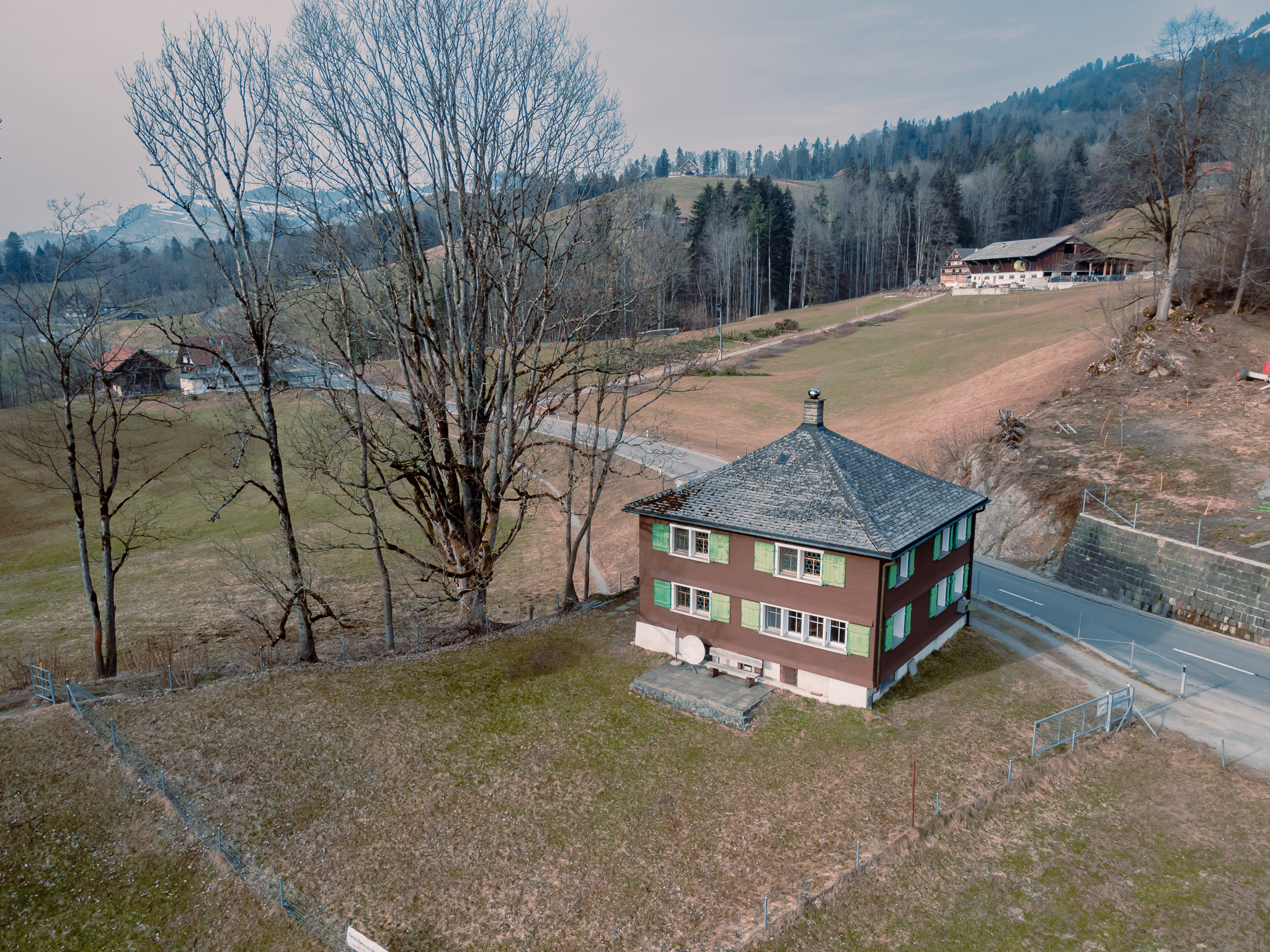 Alpenroesli-Aufnahme-von-oben