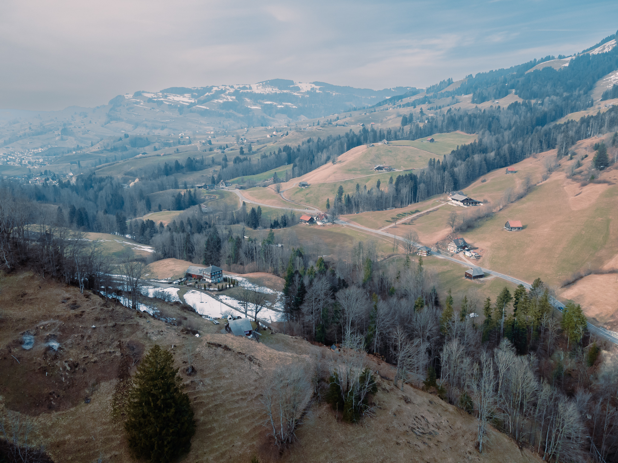 Alpenroesli-von-oben